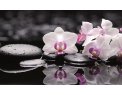 фото Столешница: Стекло Белая орхидея на черных камнях
