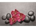 фото Стекло красная орхидея